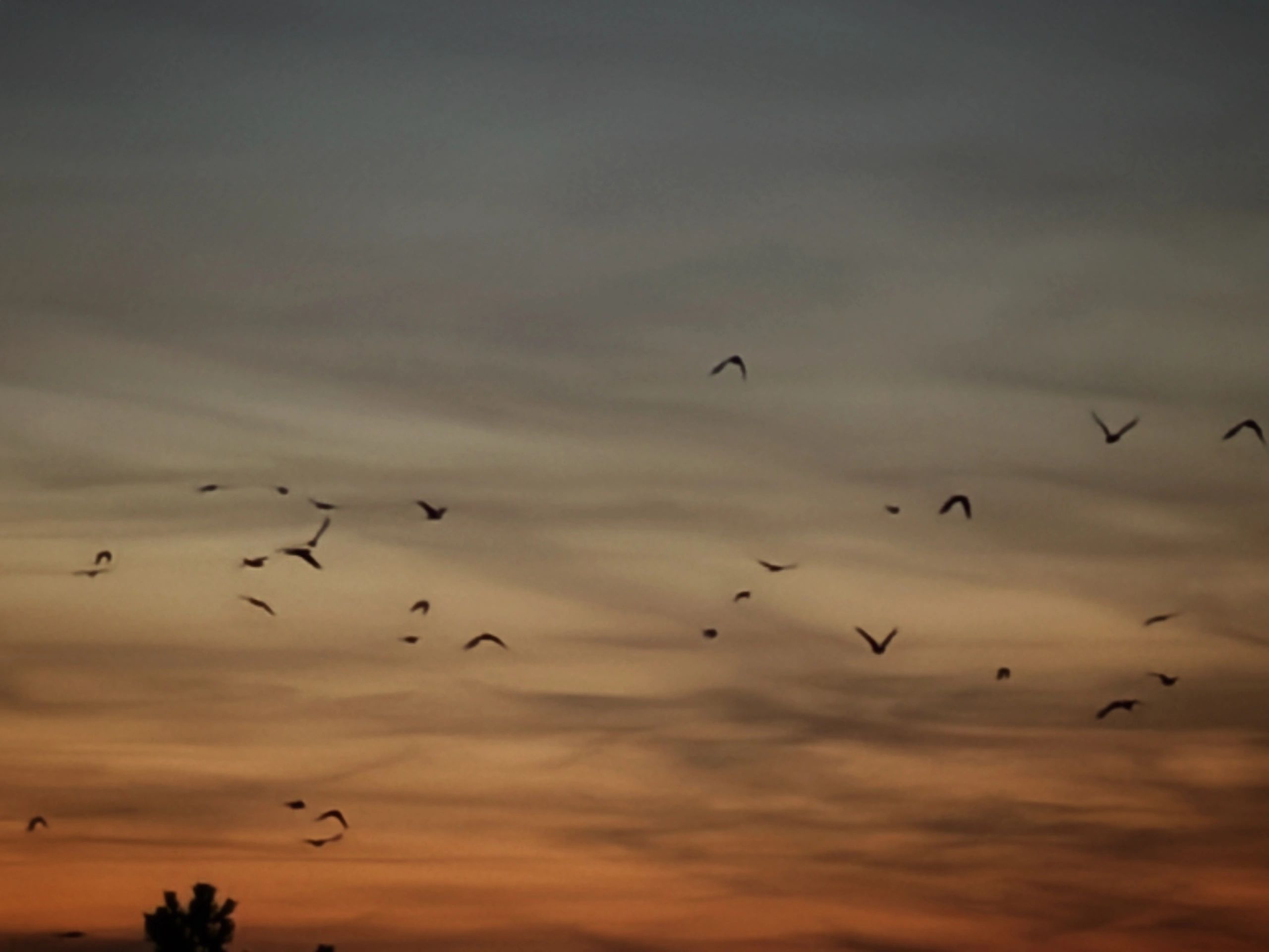 Dusk sky over Pristina, Kosovo